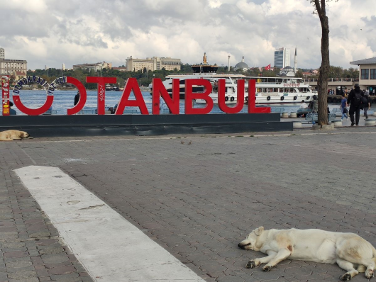 Стамбул, 3 дня, сентябрь 2025 г.